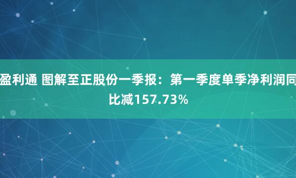 盈利通 图解至正股份一季报：第一季度单季净利润同比减157.73%