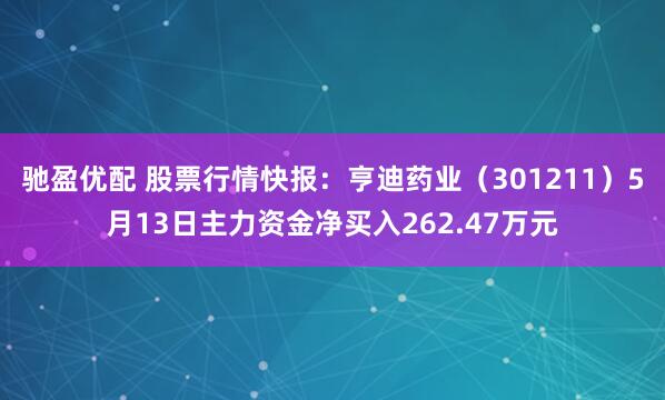 驰盈优配 股票行情快报：亨迪药业（301211）5月13日主力资金净买入262.47万元
