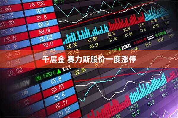 千层金 赛力斯股价一度涨停
