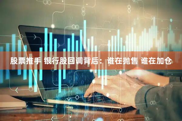 股票推手 银行股回调背后：谁在抛售 谁在加仓