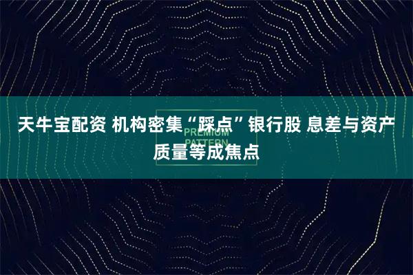 天牛宝配资 机构密集“踩点”银行股 息差与资产质量等成焦点