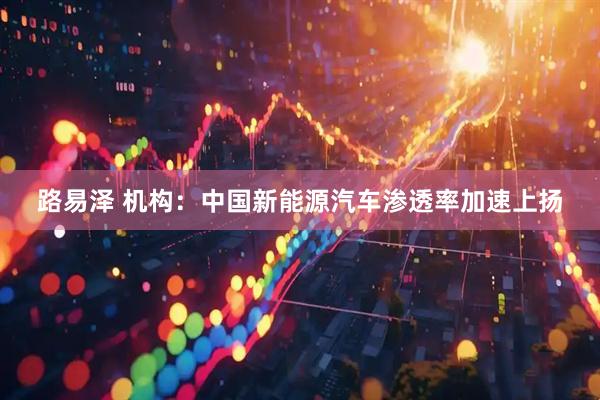 路易泽 机构：中国新能源汽车渗透率加速上扬