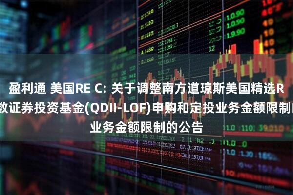 盈利通 美国RE C: 关于调整南方道琼斯美国精选REIT指数证券投资基金(QDII-LOF)申购和定投业务金额限制的公告
