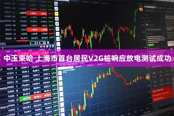 中玉束哈 上海市首台居民V2G桩响应放电测试成功