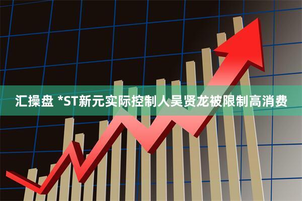 汇操盘 *ST新元实际控制人吴贤龙被限制高消费
