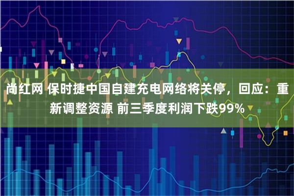 尚红网 保时捷中国自建充电网络将关停，回应：重新调整资源 前三季度利润下跌99%