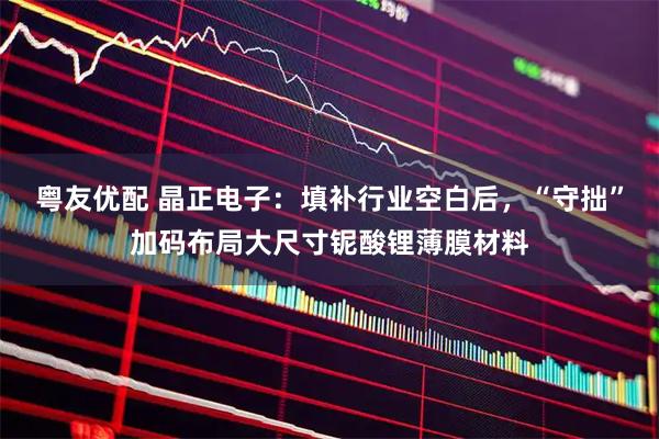 粤友优配 晶正电子：填补行业空白后，“守拙”加码布局大尺寸铌酸锂薄膜材料