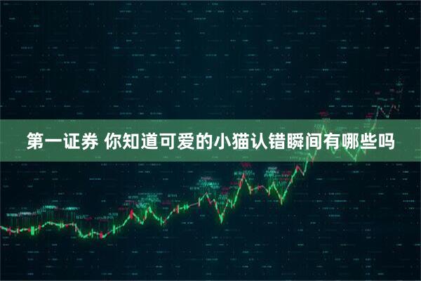 第一证券 你知道可爱的小猫认错瞬间有哪些吗