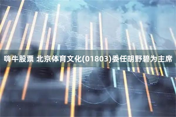 嗨牛股票 北京体育文化(01803)委任胡野碧为主席