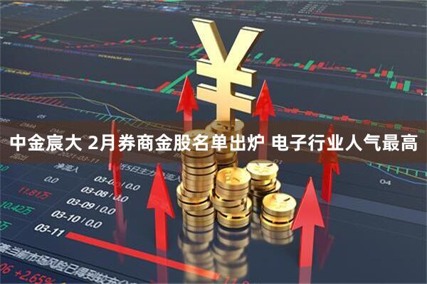 中金宸大 2月券商金股名单出炉 电子行业人气最高